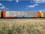 BNSF 303019